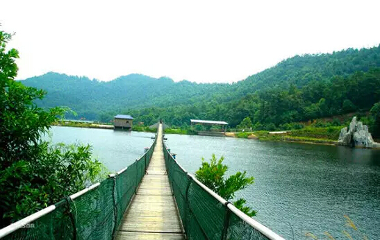 长沙这9个森林公园,宛若仙境! - 旅游 - 新湖南