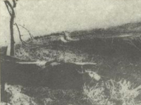 抗战历史.口述｜回放“岳阳版南京大屠杀”