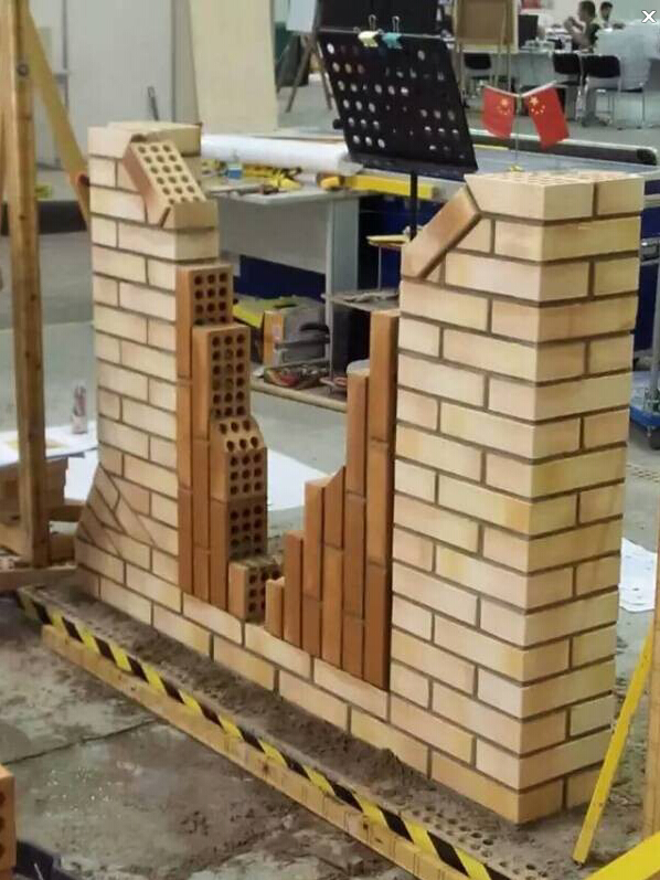 世界技能大赛中国首夺金 湖南小伙砌筑获优胜奖