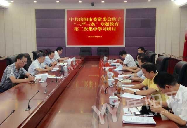 岳阳市委常委举行“三严三实”专题教育第二次集中学习