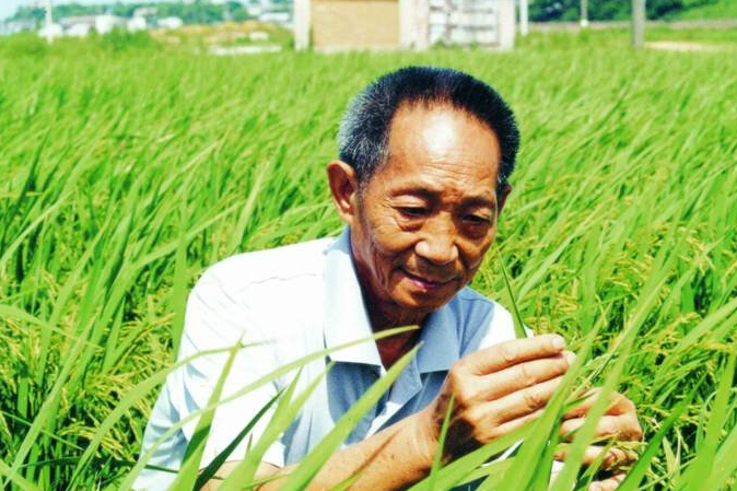 习主席访美八湘企随行 西雅图会议隆平高科获重点推介