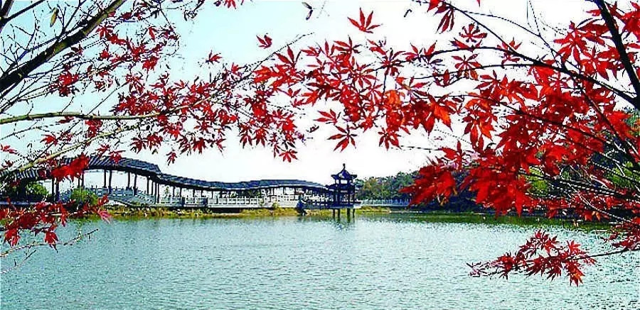 你所不知道的岳麓山