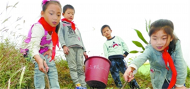 少年先锋队“出校园，进村庄”
