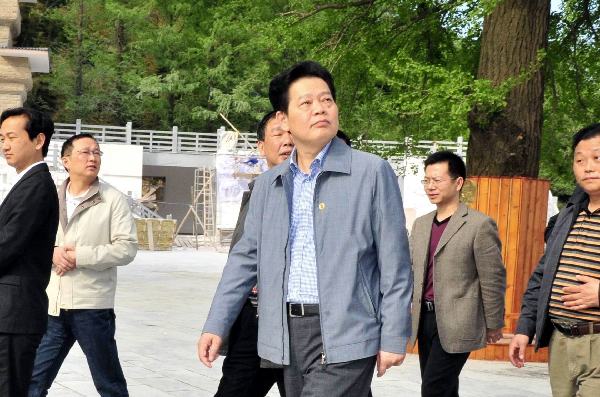 王群调研常德穿紫河风光带建设：让穿紫河流淌我们的乡愁