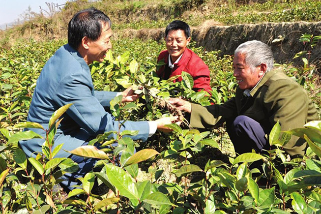 邵阳国家油茶产业示范园