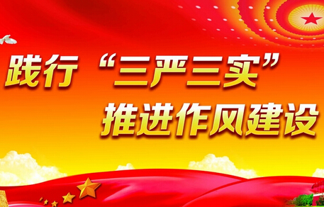 衡阳市政府党组召开“三严三实”专题民主生活会