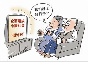 苏泉代表：“没有文化的小康，不算真正的小康”