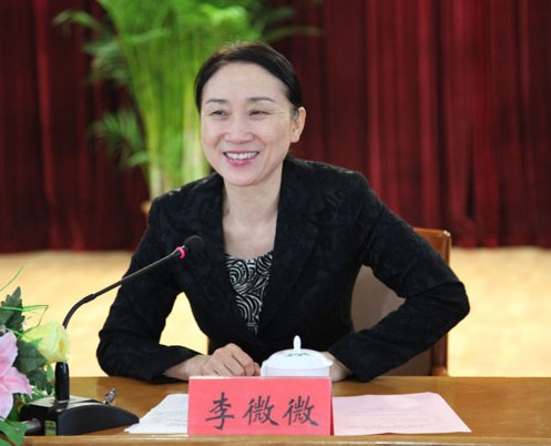 李微微参加株洲代表团审议“两院”工作报告