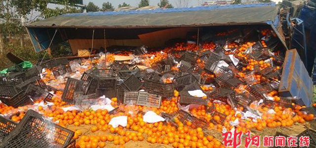 沪昆高速货车侧翻20吨橙子洒落一地