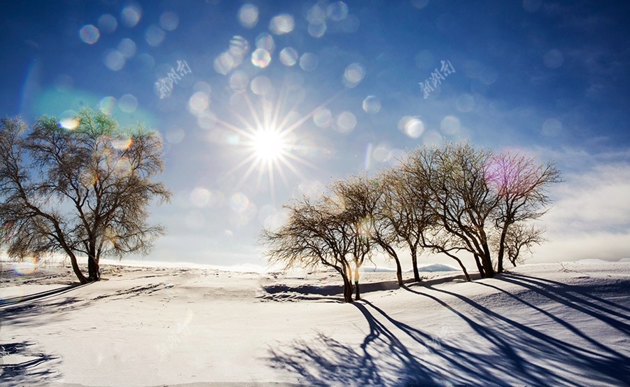 18位老摄影家在冰天雪地中拍了些什么?