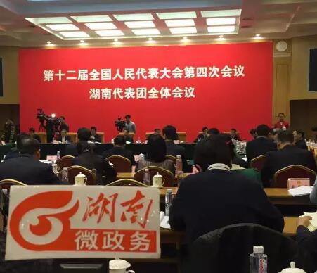 对于我们关心的教育改革，湖南团的代表们提了哪些建议？