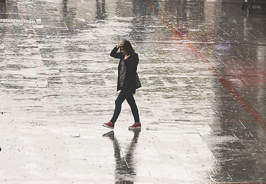 昨日,车站路,一位女士走在雨中(记者 谢慧 摄)