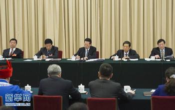湖南代表团提交议案20件