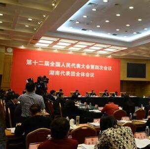 湖南代表团举行第八次全体会议
