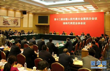 湖南团分组审议“两高”报告 点赞向