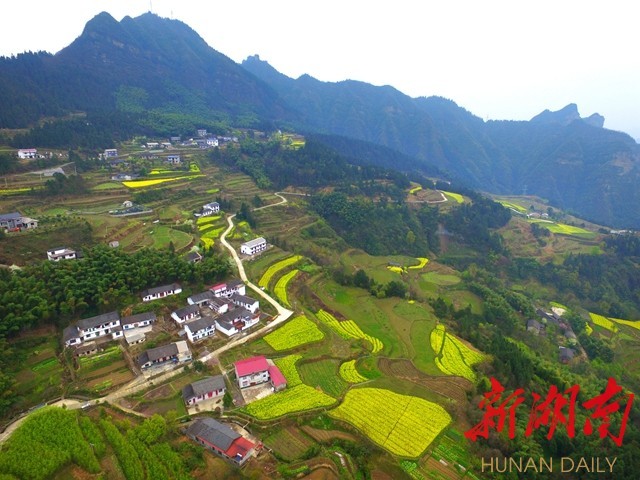 3月29日,无人机航拍张家界市武陵源区协合乡抗金岩村乡村与油菜花