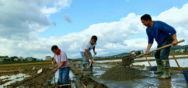 武冈建水稻标准基地