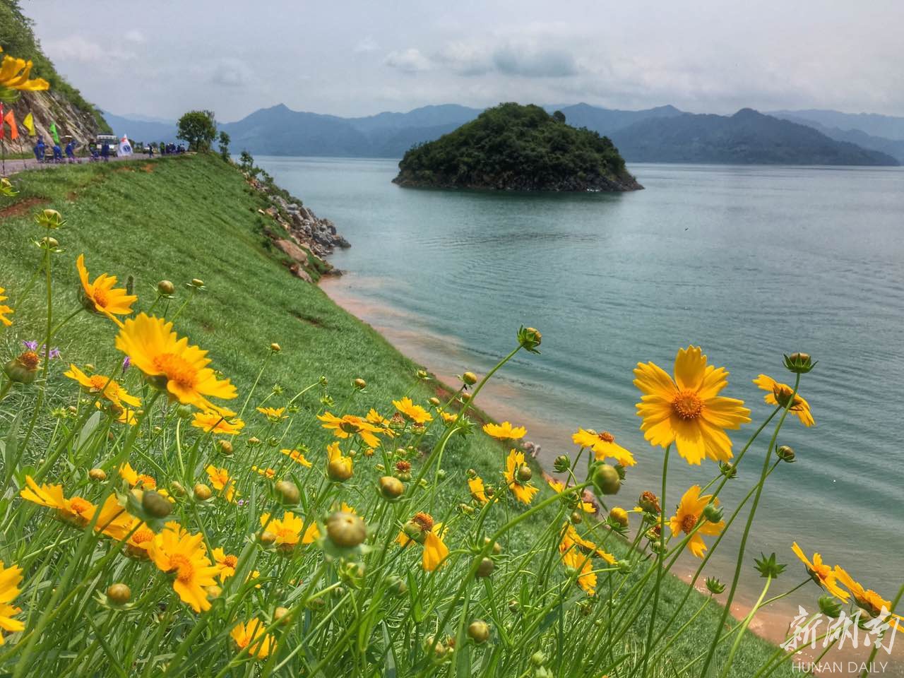 资兴白廊花海图片