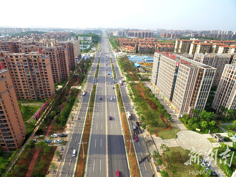              长沙市芙蓉南路林荫