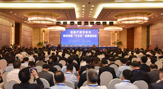 湖南“十三五”发展座谈会：新动力 新活力