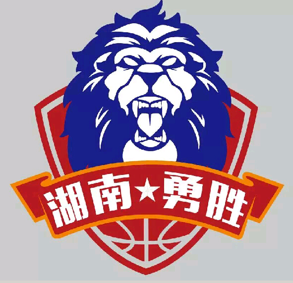 客场击败东部陆军 湖南勇胜拿下队史首胜 - 综合 - 新湖南