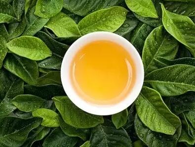 茶盛宴,尽享万种原产地名茶 华巨臣长沙茶博会免费领茶礼啦