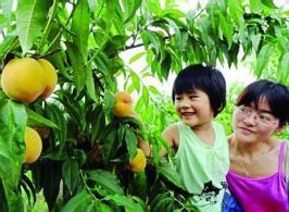 暑气太重！来一场潇湘瓜果甜蜜之约！