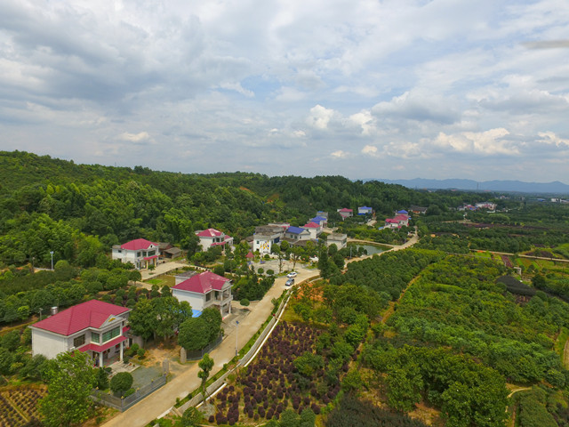 浏阳乡村旅游"火炬"在传递一一探神奇社港,品绿色镇头