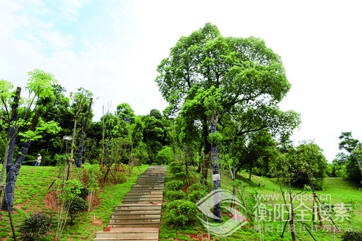 衡阳市植物园(一期)有望在年底开园迎客