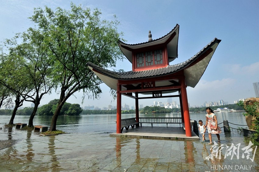 湖南烈士公园年嘉湖部分亲水游道被淹