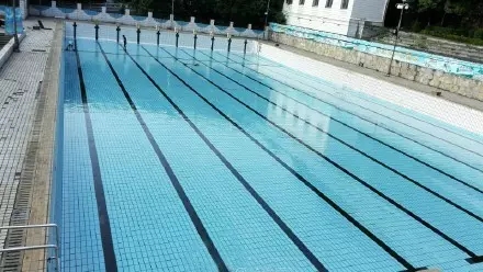 中南大学(本部)