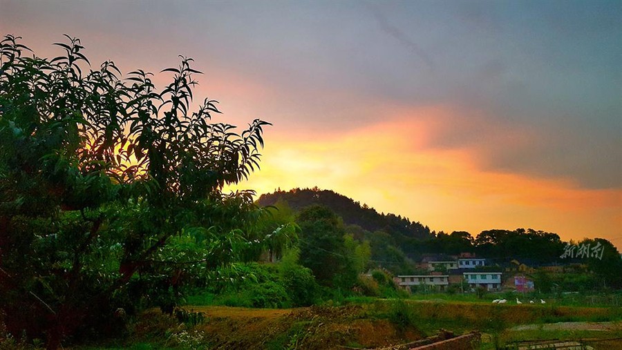 农村夕阳照图片