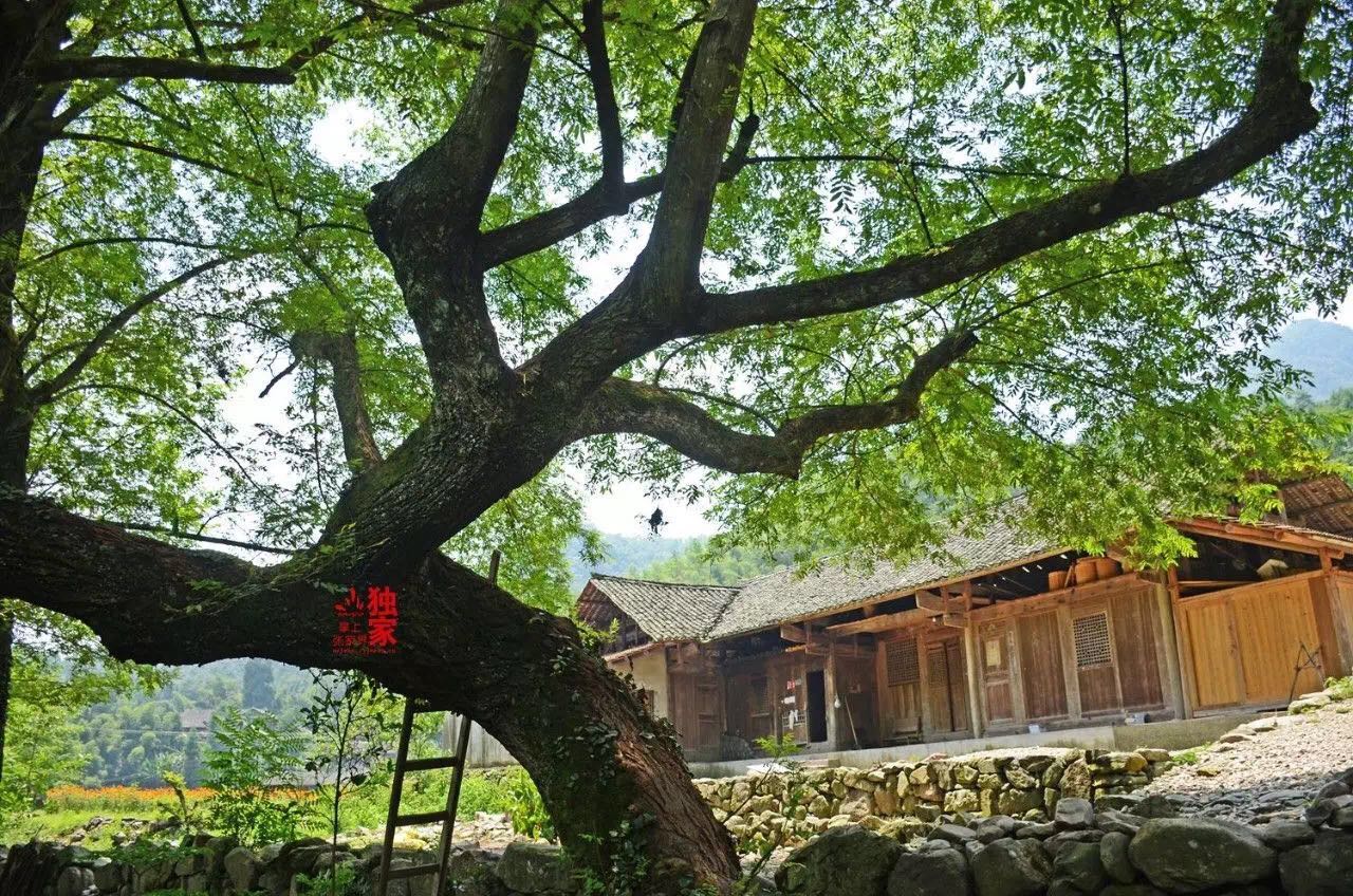 牧笛溪,美在深山藏古村