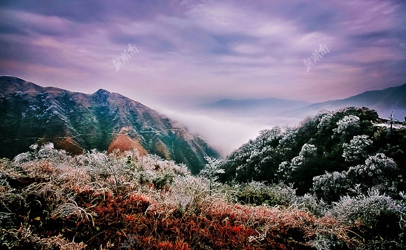 南山半山腰是黑杉嶺,老山界所在.