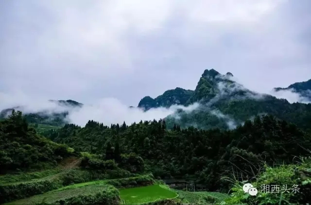保靖县阳朝乡米溪村