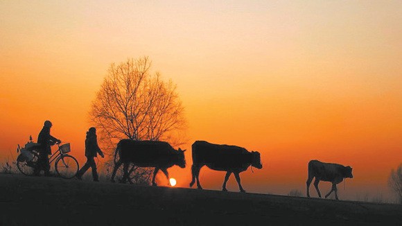 散文丨咯血的乡土