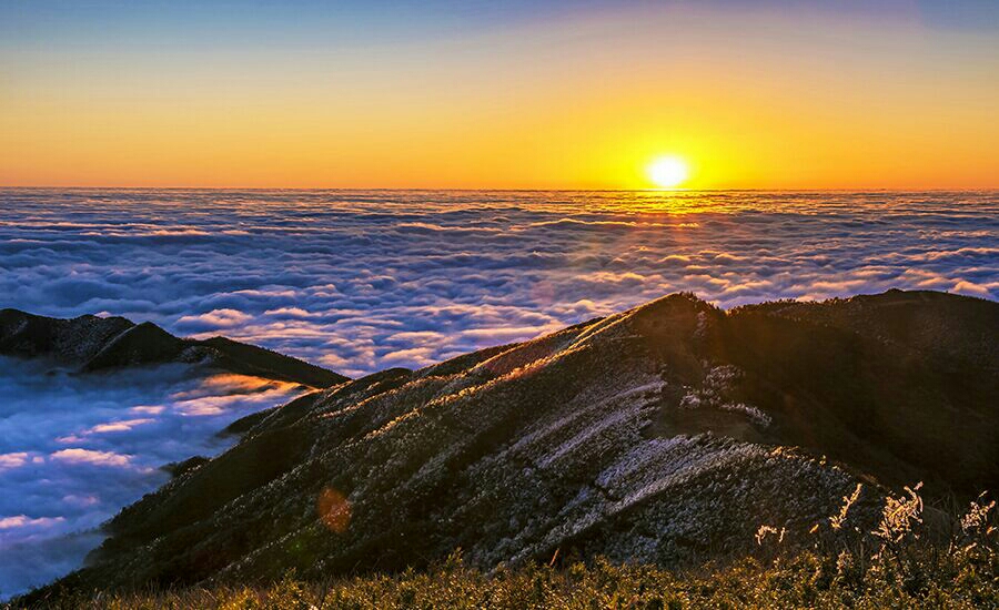 2015年12月摄于涟源市龙山森林公园.李湘杰 摄