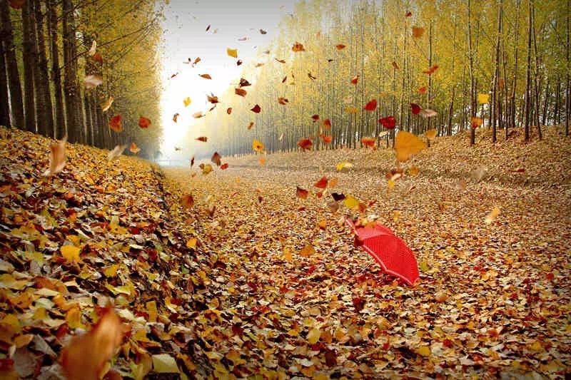 这份"抗风指南",送给在秋风中瑟瑟发抖的你