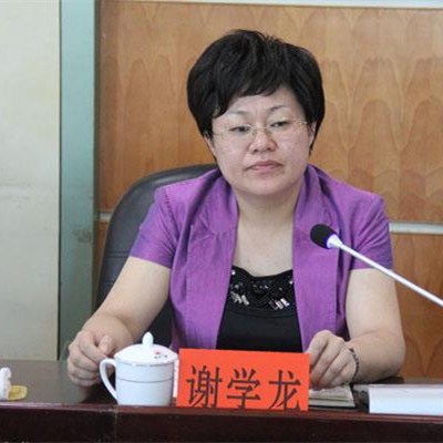 段云行 刘芾      今年三季度,涟源市委书记谢学龙进入娄底副