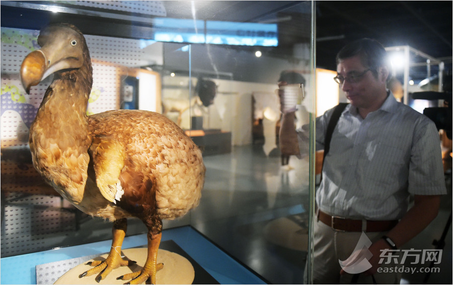 上海自然博物馆举办"灭绝生物"展
