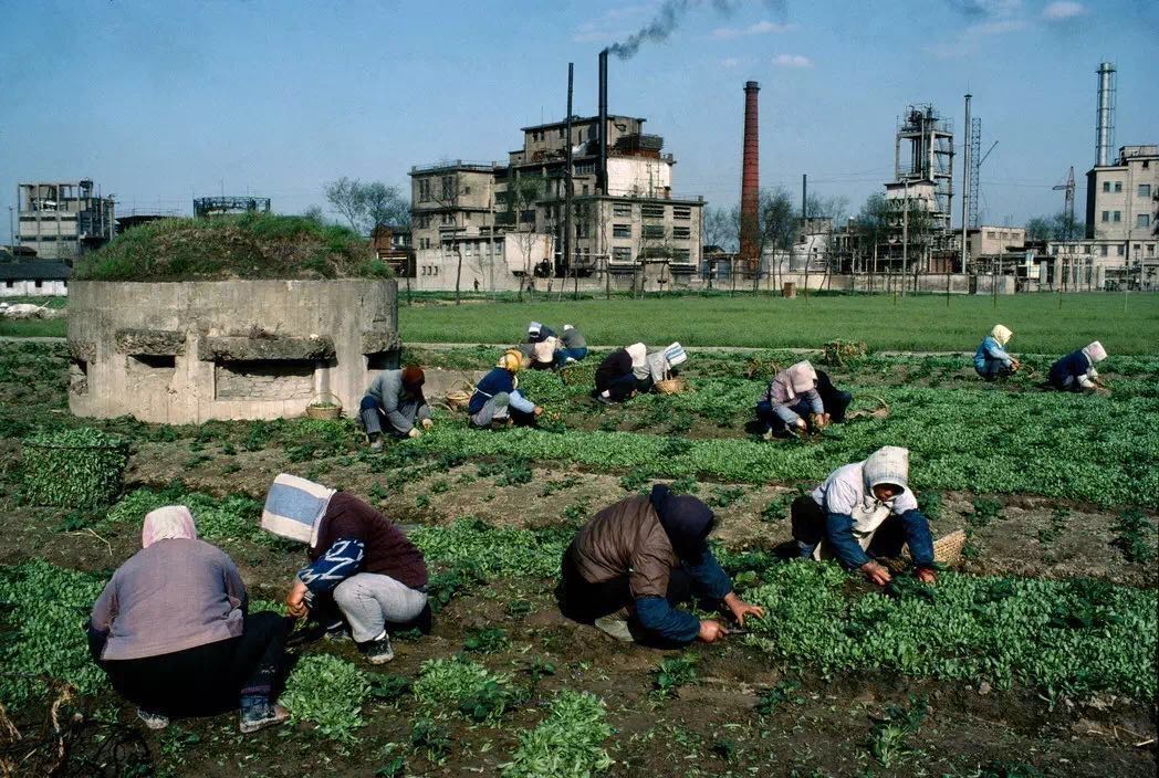 他拍的四十年前的中国和现在有什么不一样