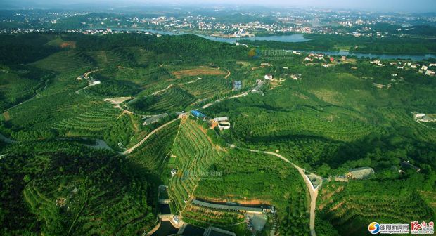 北塔生態園愛蓮池公園生態島效果圖邵陽寶慶森林公園醉美邵陽七星橋11