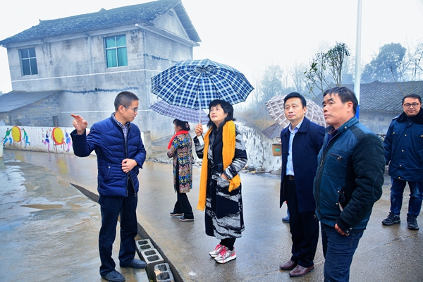 宁艳芳一行在花垣县补抽乡吉久村考察农村人居环境综合整治示范创建