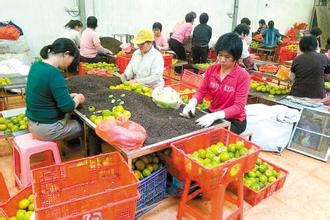 提升创新能力 增强品牌意识 常德农产品加工提档升级