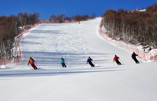 正定园博园滑雪场图片