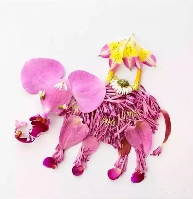 她画画从来不用颜料和笔 她用鲜花