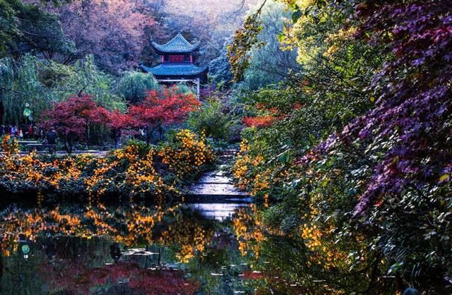 倾听,长沙丨岳麓山(1)