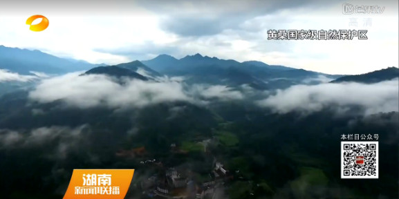【视频】湖南4家生态旅游地入选“中国森林氧吧”