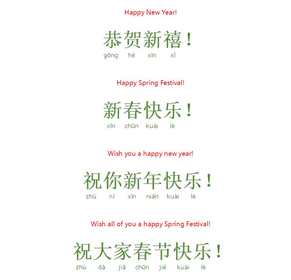 are more words and phrases that wish somebody   happy new year