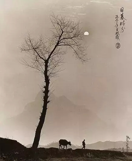 这个春节,中国风画意摄影最配